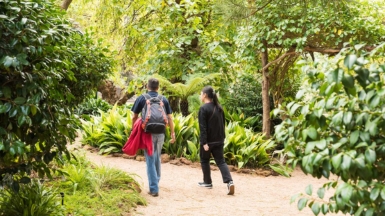 Two students walking on a path between trees