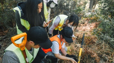 Student volunteers working with spades and picks in forest