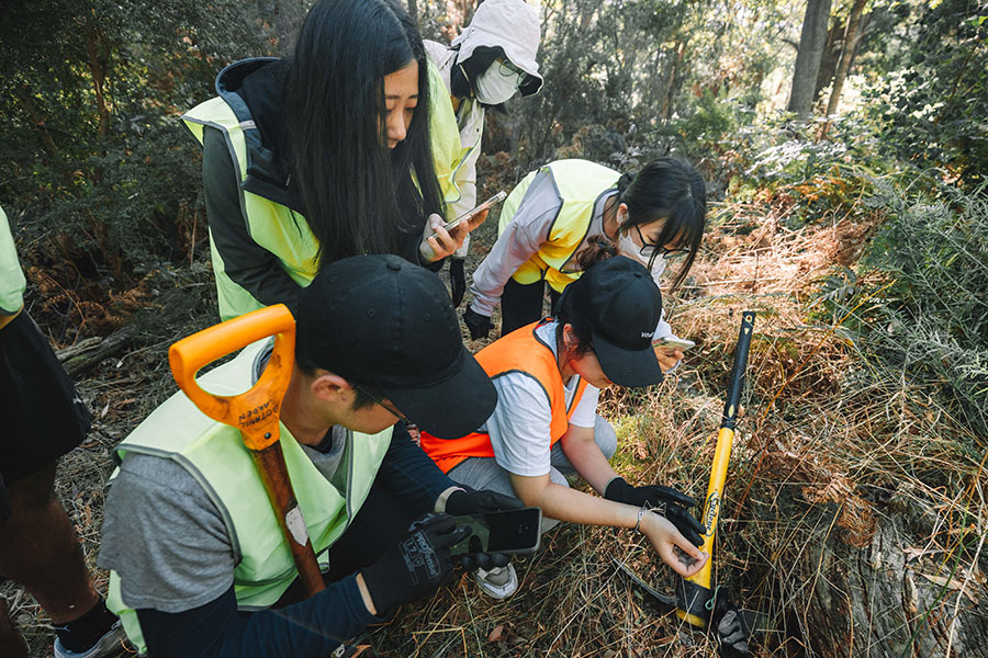 Students digging in the bush