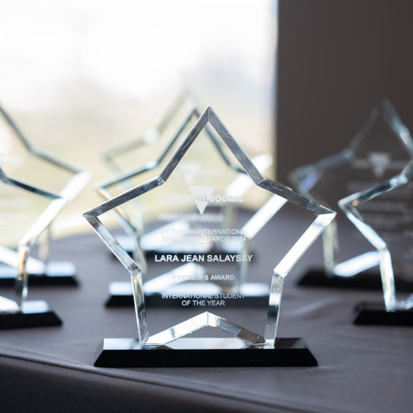 VIEA awards photo