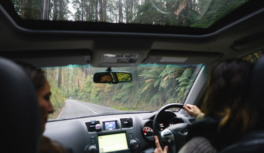 Car driving on country road