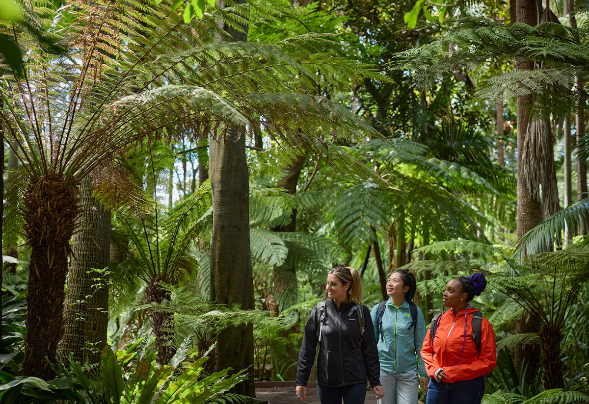 Three people walking outdoors