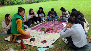 students having a picnic