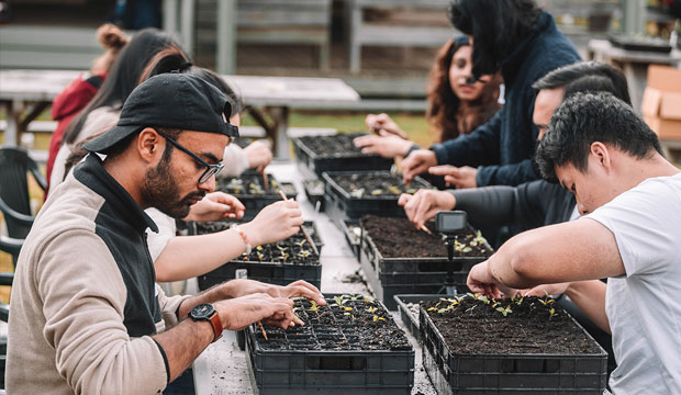 Students planting seeds